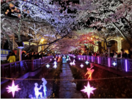 yeojwacheon-romance-bridge